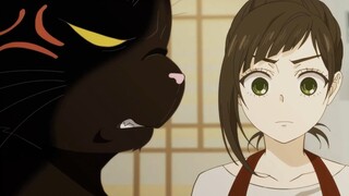 女主让家养猫教她做饭，连破蛋壳都不会，当场无话可说...