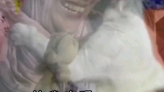 chú mèo mích lòng ước