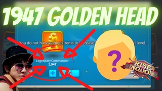 1947 GOLDEN HEAD Expertise Pakal Harald YSS SEBELUM KINGSLAND ? | KD 2170 Rise Of Kingdoms Indonesia