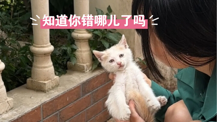 Còn gì muốn nói không? Nếu không thì tao có thể cho mày một trận được không?