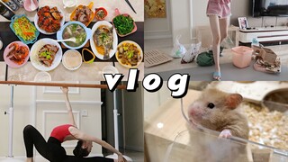 「舞蹈生vlog」捡到金丝熊/日常练功/家庭聚餐/周末日常