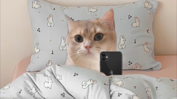 Is this you when you wake up in the morning?