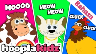 Suara Hewan Bayi | Baby Animal Sounds | HooplaKidz Bahasa | Lagu Anak-Anak