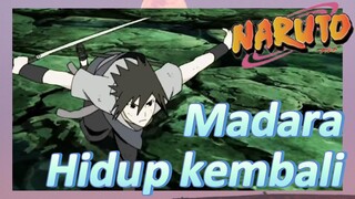 Madara Hidup kembali