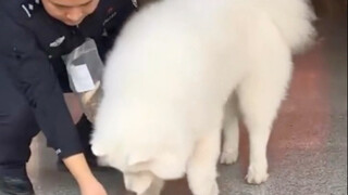 Yeye was forced to run away from home.