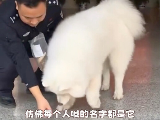 Yeye was forced to run away from home.