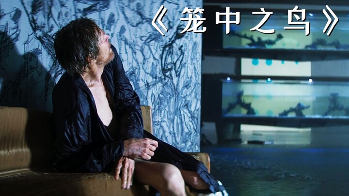 Man Trapped in a High-Tech Mansion, Stages an Extreme Escape! 2023’s Latest Thriller “Bird in a Cage