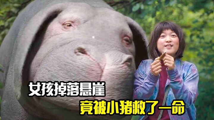 A girl fell off a cliff but was saved by a little pig!