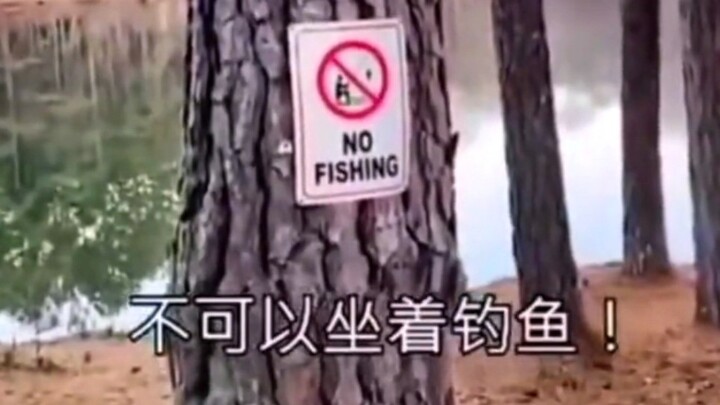 “Gila banget, nonton lagi deh” «34»