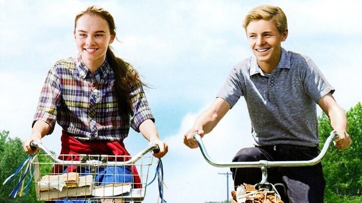 Flipped  (2010)