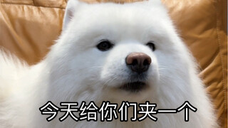 هذه أول مرة أرسل لكم صوت المشبك للاستماع إليه