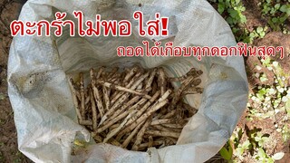 ตะกร้าไม่พอใส่!!เจออีก2หมู่ถอดได้เกือบทุกดอกงานนี้ต้องพึ่งกระสอบ!!😱