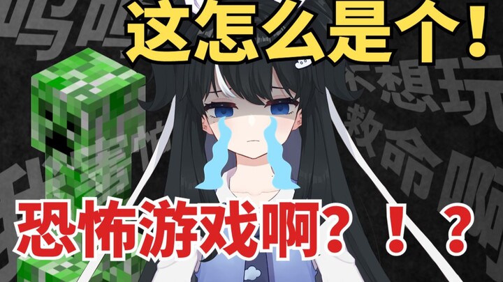 这就是第一次玩MC的含金量