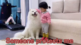 The Harmonious Daily between Kid and Dog
