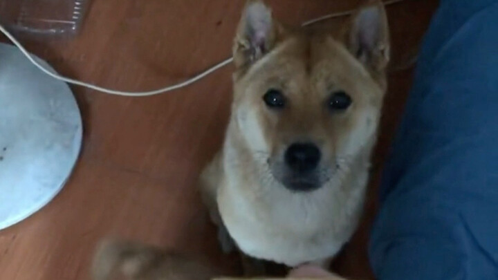 رغم أن داهوانغ لم يقل شيئًا، إلا أنني أعرف ما الذي يريده.