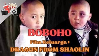 FILM BOBOHO : DRAGON FROM SHAOLIN (1996) || FILM JADUL HONGKONG