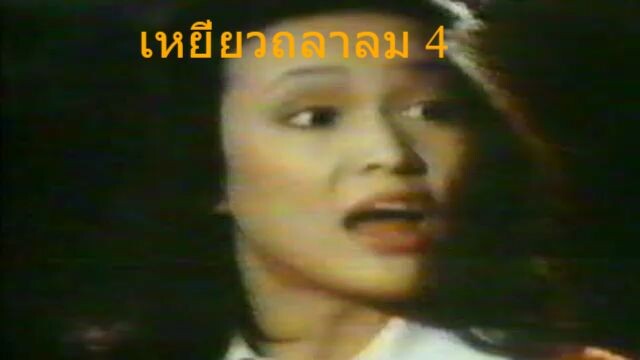 เหยี่ยวถลาลม4