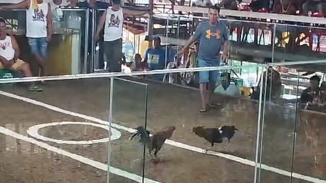 Bonecrusher/gilmore - Win