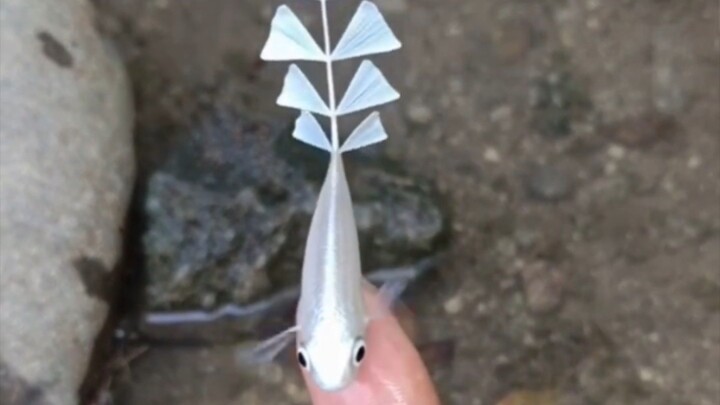 Wait until you see this pearl transform into a tiny fish resembling blooming flowers