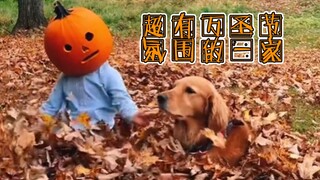 满足你对万圣节的所有幻想——超有万圣节氛围的一家子