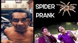 Spider Prank Funny 😂