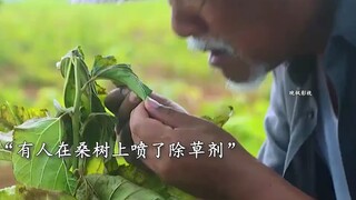 因为一个片段看了整部剧