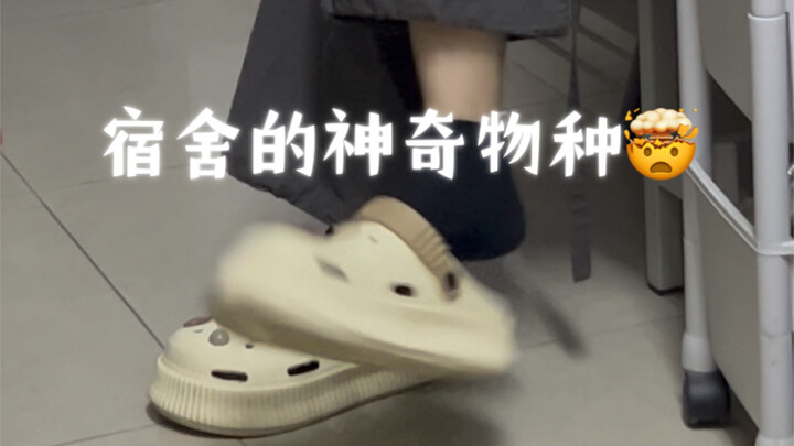 สามปีแล้วเพิ่งมารู้อีกมุมหนึ่งของเพื่อนร่วมห้อง…