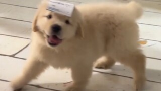 1-4-25041谁的快递到了也不来拿？到处乱跑？这个要扣钱的！