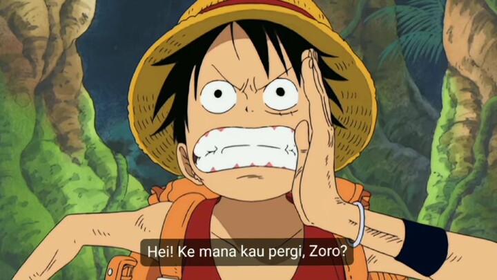 zoro, luffy sm aja, sm sm buta arah