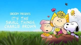 SNOOPY PRESENTS:  IT'S THE SMALL THINGS CHARLIE BROWN (2022)