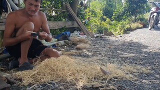 Bác 2 Làm Món Mắm Cá Lóc Chiên Ăn Cùng Gỏi Bắp Chuối.Góc Làng Quê
