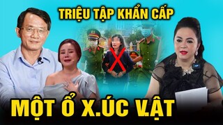 SỐC Bà Hằng lấy tên Vy Oɑnh, Hɑ̀n Nɪ, bầᴜ Hɪển đặt chᴏ chᴏ́, ngựɑ ở Đᾳɪ Nɑm, Sự Thật Ngã Ngửa?