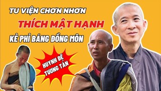 Chị Gái Xinh Đẹp Lên Tiếng Chỉ Trích Sư Thích Mật Hạnh Đã Phỉ Báng Sư Thích Minh Tuệ