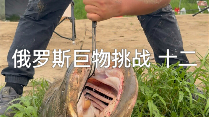 Really? Is it possible? Can it really be 100 jin?