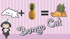 Banyak Yang Baru Nih di Bongo Cat