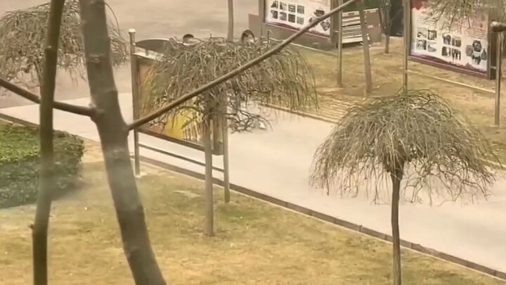 The younger sister visited her firefighter brother, and on a whim, the two of them suddenly started 