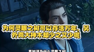 为何灵眼之树可以存活万年，另外两大神木却少之又少呢