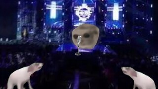 当你迎新晚会唱歌临时换曲