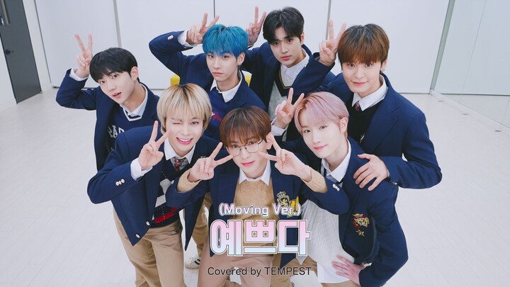 【Covered by TEMPEST】SEVENTEEN - Beautiful(Moving Ver.)