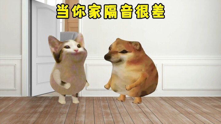 当你住的是老楼，隔音很差