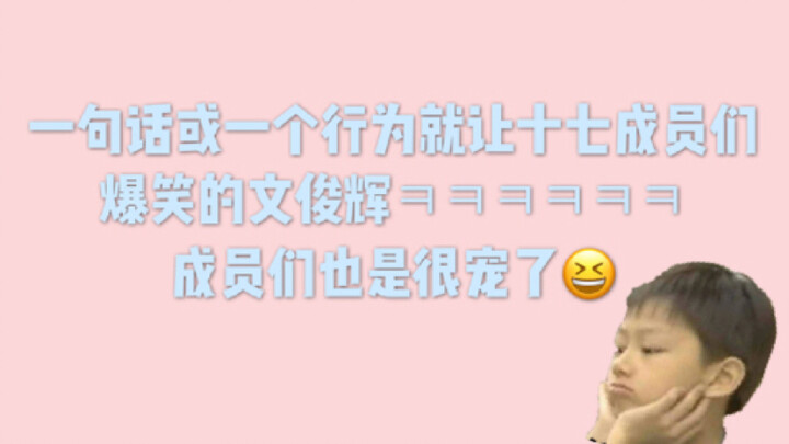 [seventeen]总是一句话就让十七成员爆笑的文俊辉小合集