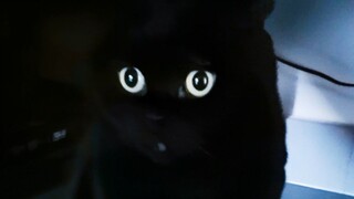 แค่คอมเมนต์เดียวทำให้เชียนซื่อซื่ออาเจียนออกมา!