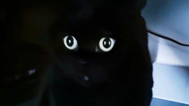 Sebuah komentar ternyata membuat Qian Suisui muntah!