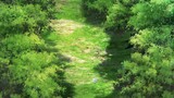 Saijaku Tamer wa Gomi Hiroi no Tabi wo Hajimemashita. (Dub) Episode 05