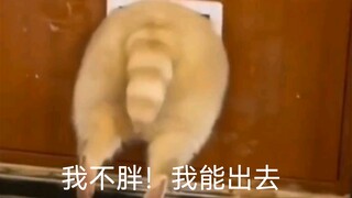 “散播105度可爱的你”