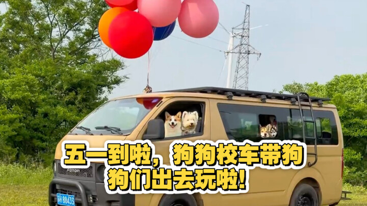 May Day has arrived! The doggy school bus is taking the pups out for a fun outing!