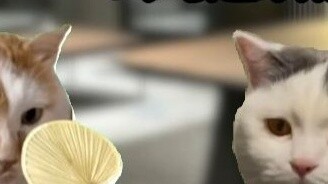 Ketika atasan Anda mengidentifikasi Anda sebagai seseorang yang dapat menghasilkan uang...