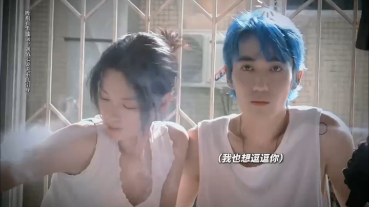 Aaaa! Ayo lihat Zhu Yilong menggoda kucing! Hahaha! Huang Zhenkai sangat menggemaskan! blue=karena a