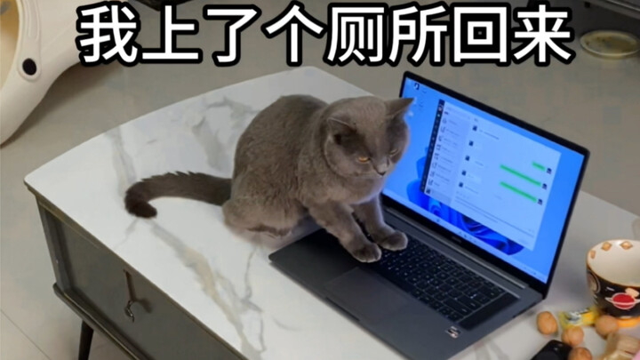 Ngày mai tôi đi hay không đi, tôi phải làm sao đây?