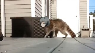 [Punishing: Gray Raven/Silly] The Attack from Nanami